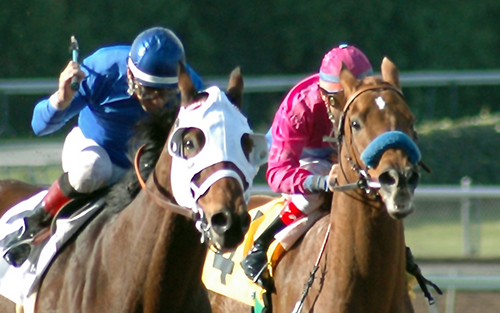 クイーンエリザベス